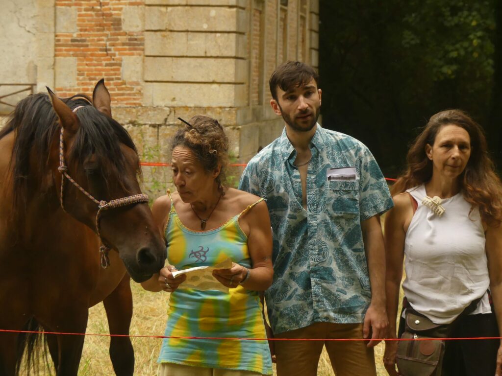 Festival Chéri 6